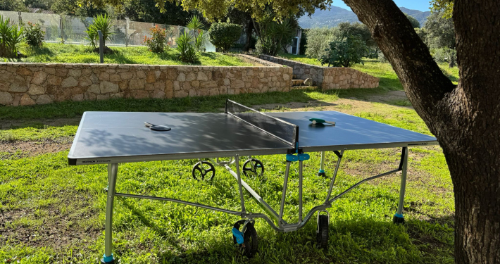 ping-pong seul ou en famille chez delpinolocations