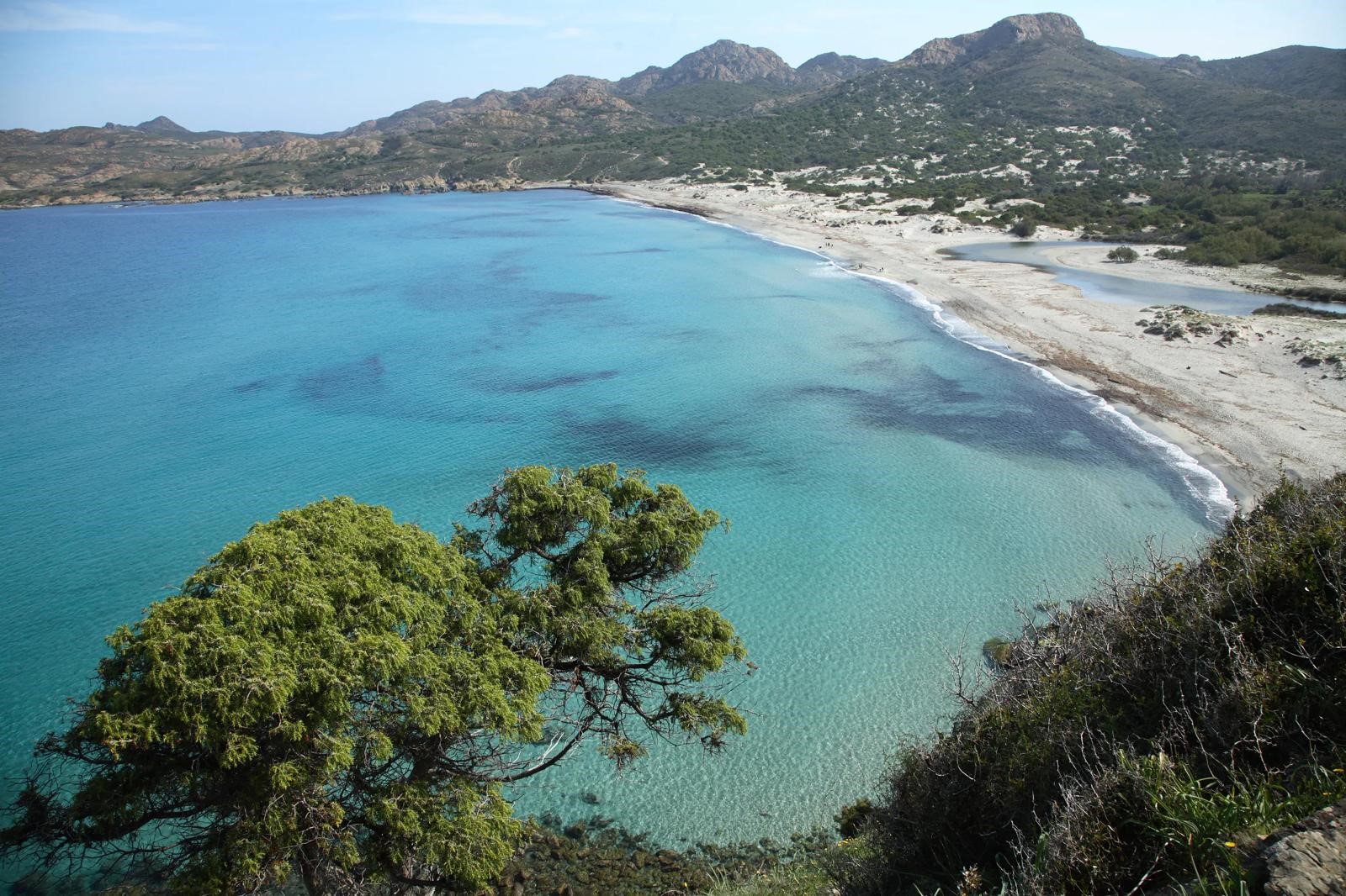 plage-ostriconi-proximite-delpino-location-corse